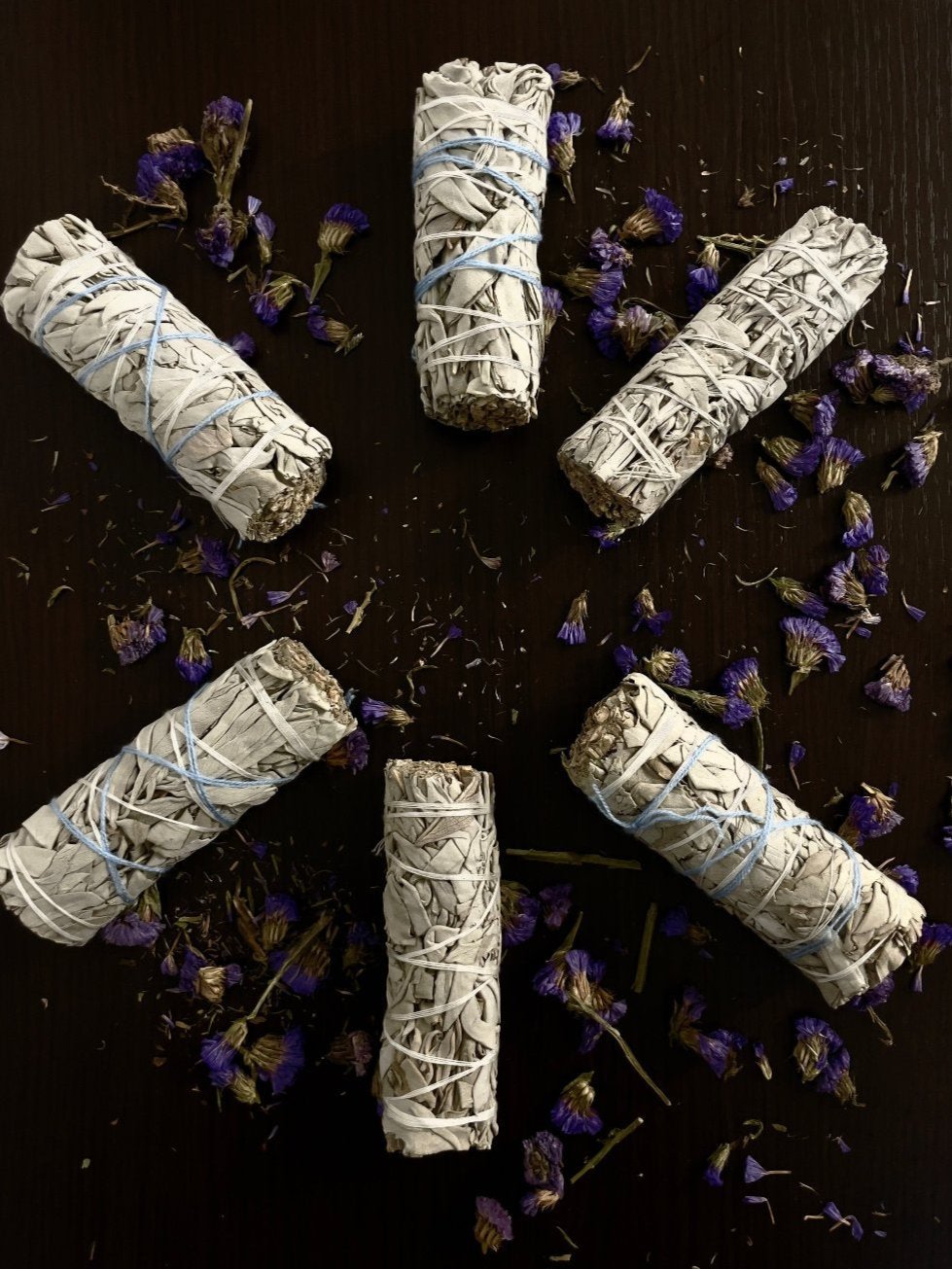 Salvia